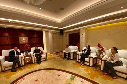 龍泉造 汽車(chē)華麗亮相首屆中國(guó)國(guó)際消博會(huì)